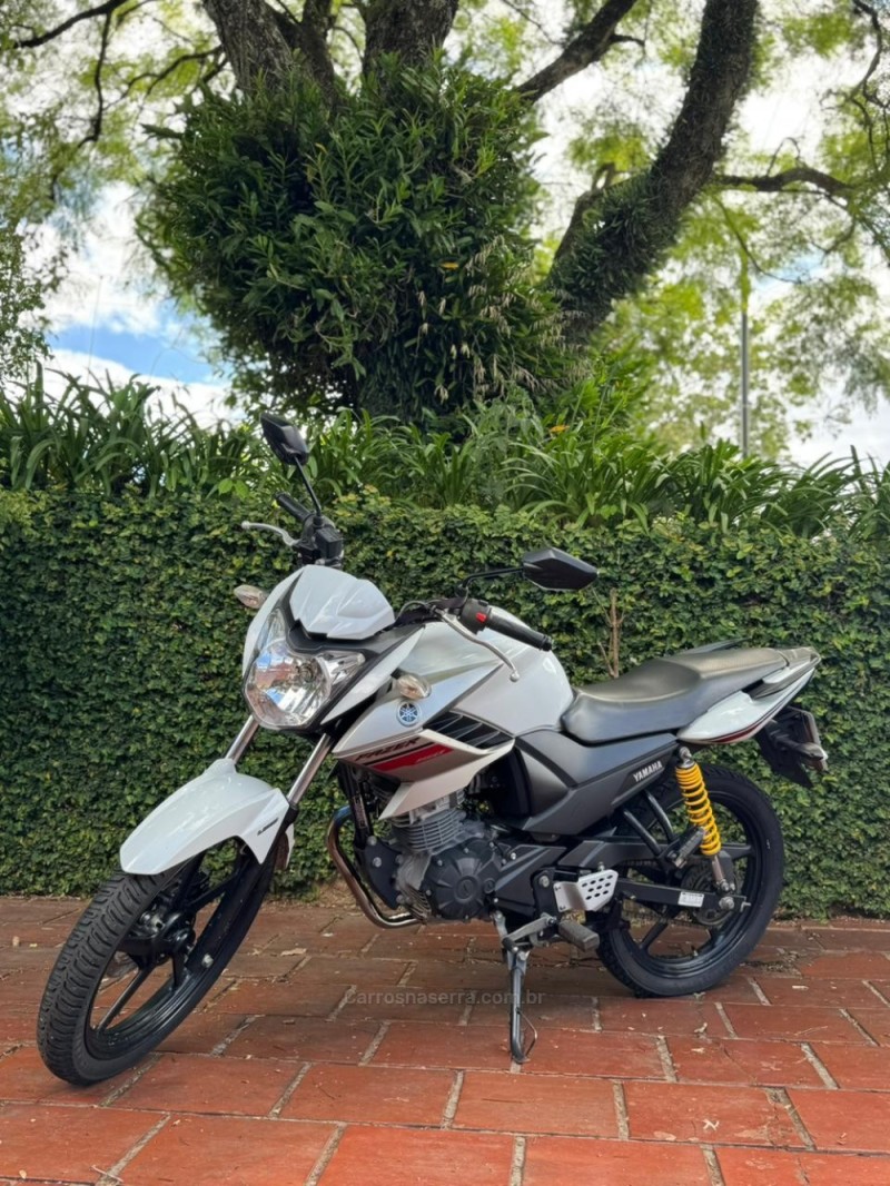 FAZER YS 150 SED - 2019 - LAJEADO