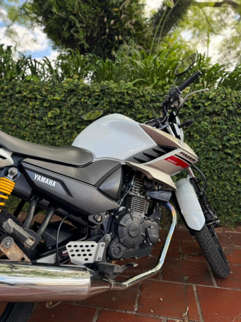 FAZER YS 150 SED - 2019 - LAJEADO