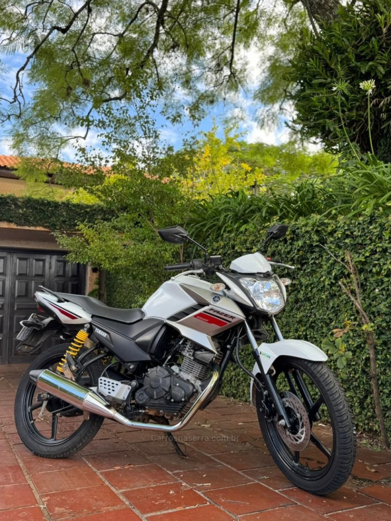 FAZER YS 150 SED - 2019 - LAJEADO