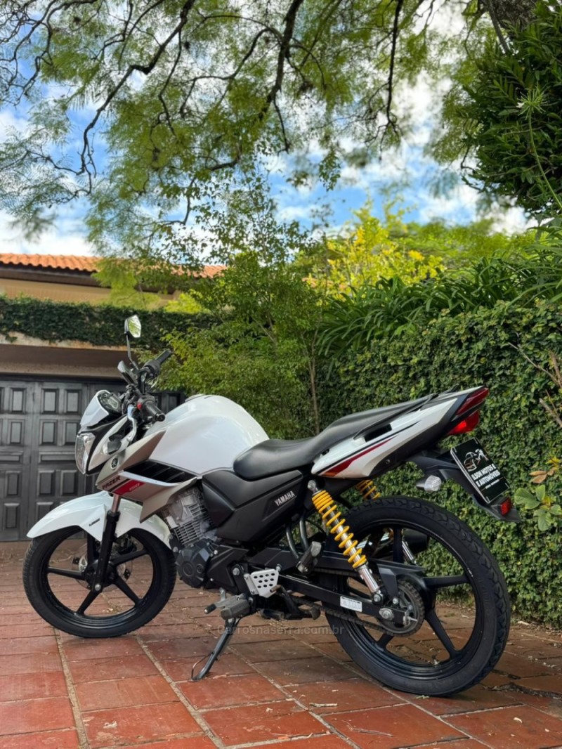 FAZER YS 150 SED - 2019 - LAJEADO
