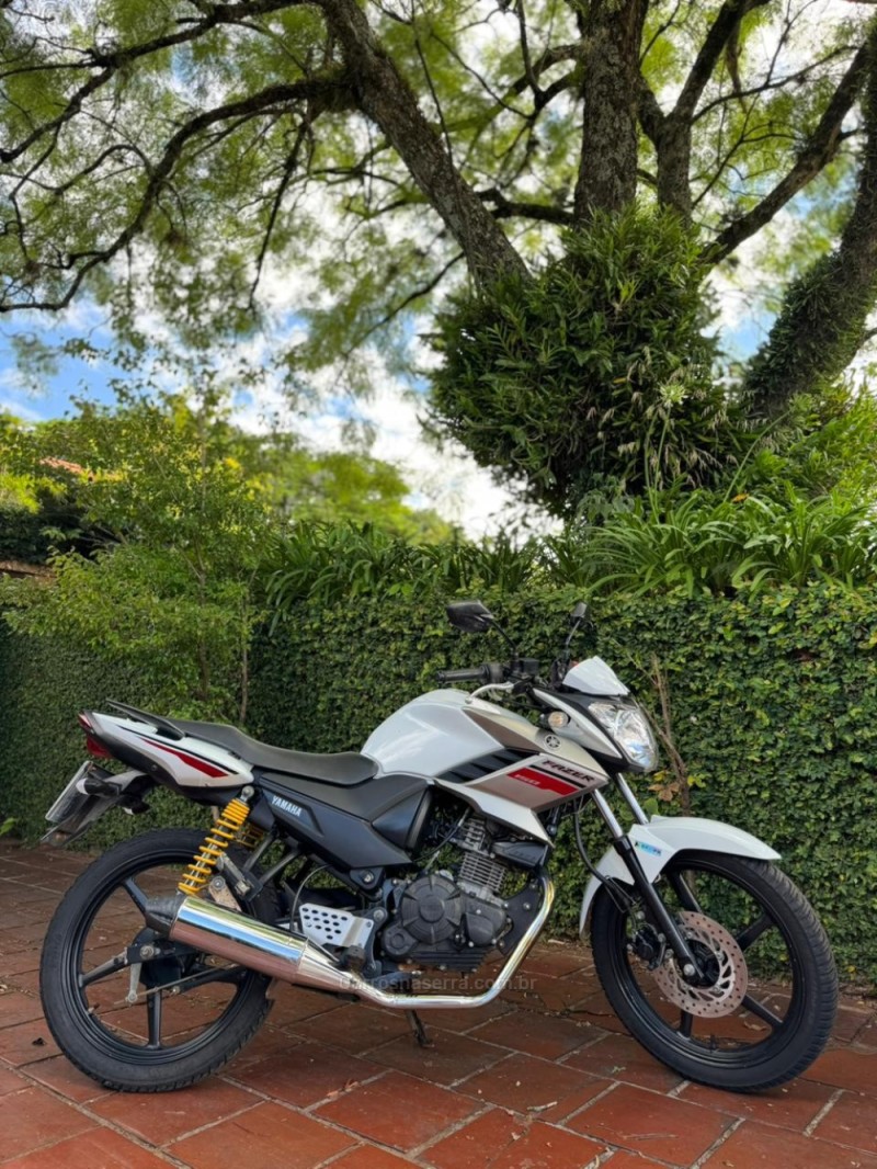 FAZER YS 150 SED - 2019 - LAJEADO