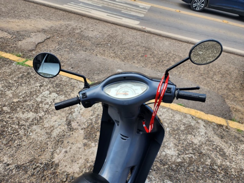 BIZ 100 KS - 2001 - VACARIA