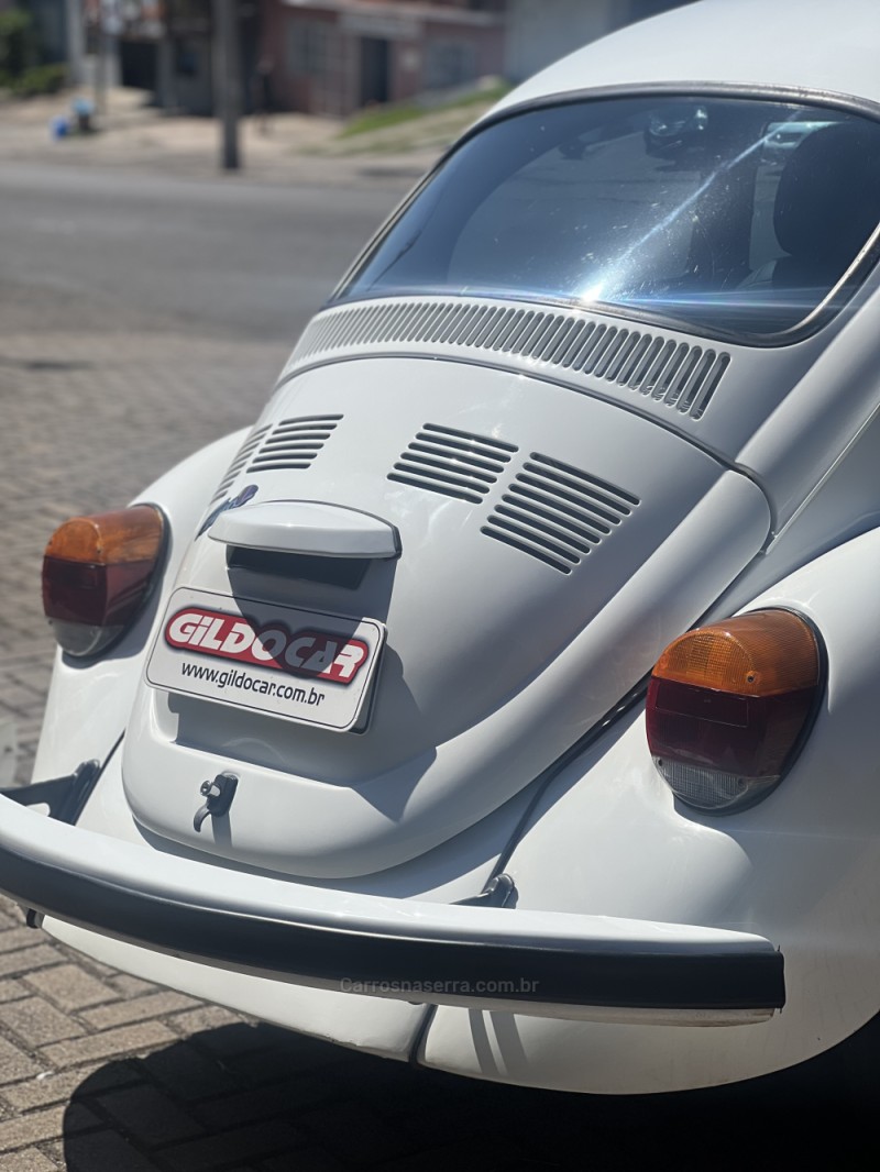 FUSCA 1.6 8V GASOLINA 2P MANUAL - 1995 - CAMPO BOM