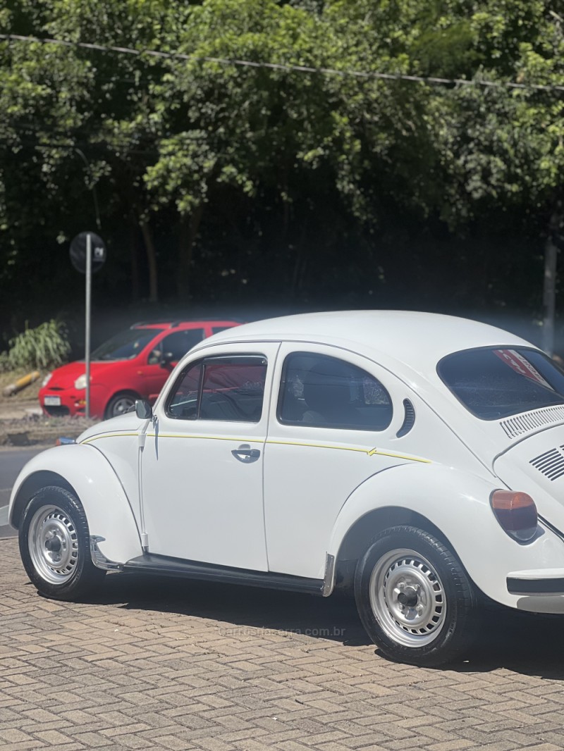 FUSCA 1.6 8V GASOLINA 2P MANUAL - 1995 - CAMPO BOM