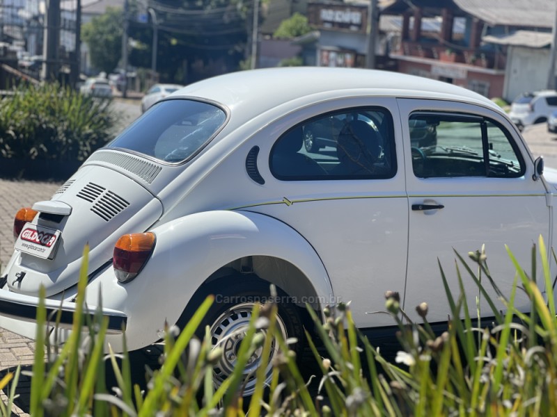 FUSCA 1.6 8V GASOLINA 2P MANUAL - 1995 - CAMPO BOM