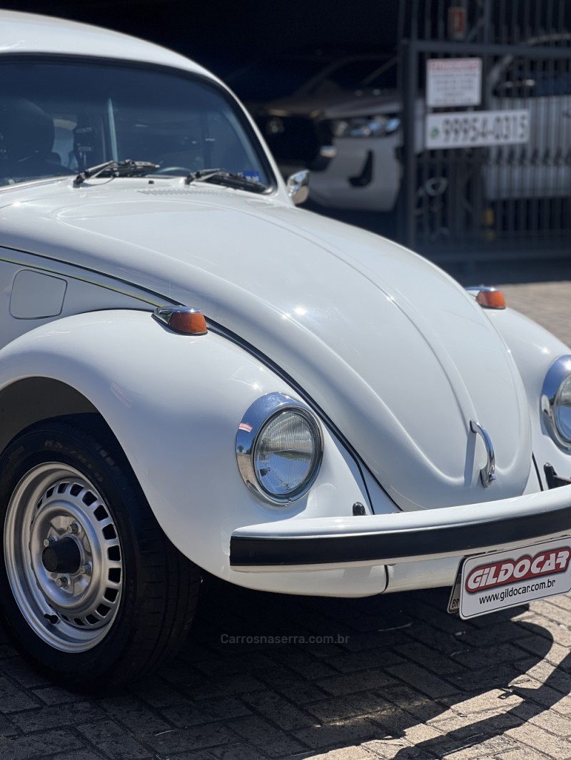 FUSCA 1.6 8V GASOLINA 2P MANUAL - 1995 - CAMPO BOM