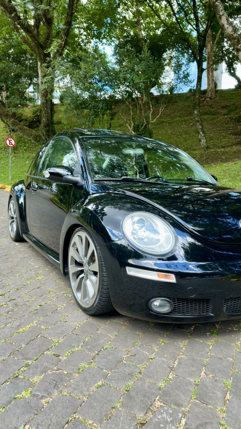 NEW BEETLE 2.0 MI 8V GASOLINA 2P MANUAL - 2010 - CAXIAS DO SUL