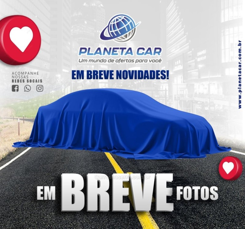 PALIO 1.4 MPI TREKKING WEEKEND 8V FLEX 4P MANUAL