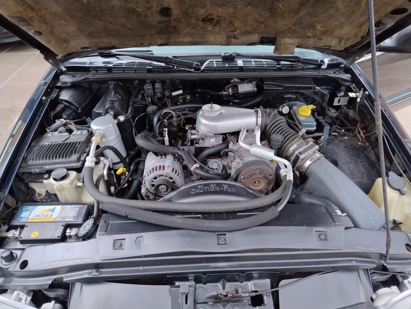 BLAZER 4.3 SFI DLX EXECUTIVE 4X2 V6 12V GASOLINA 4P MANUAL - 1999 - VACARIA