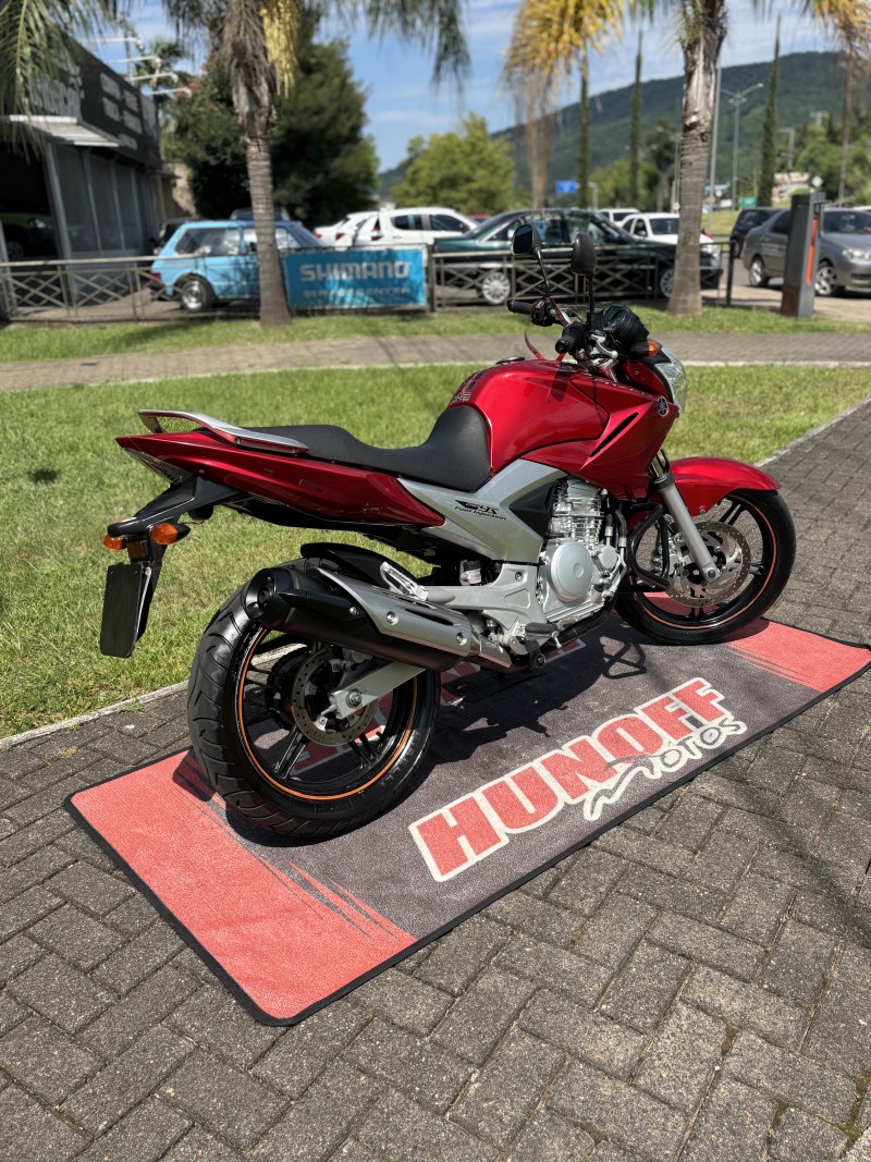 FAZER YS 250 - 2012 - FELIZ