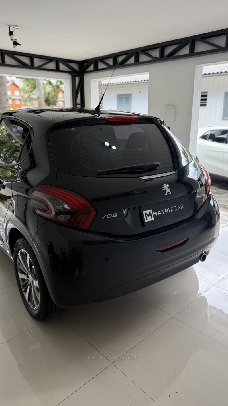 208  - 2019 - CANELA