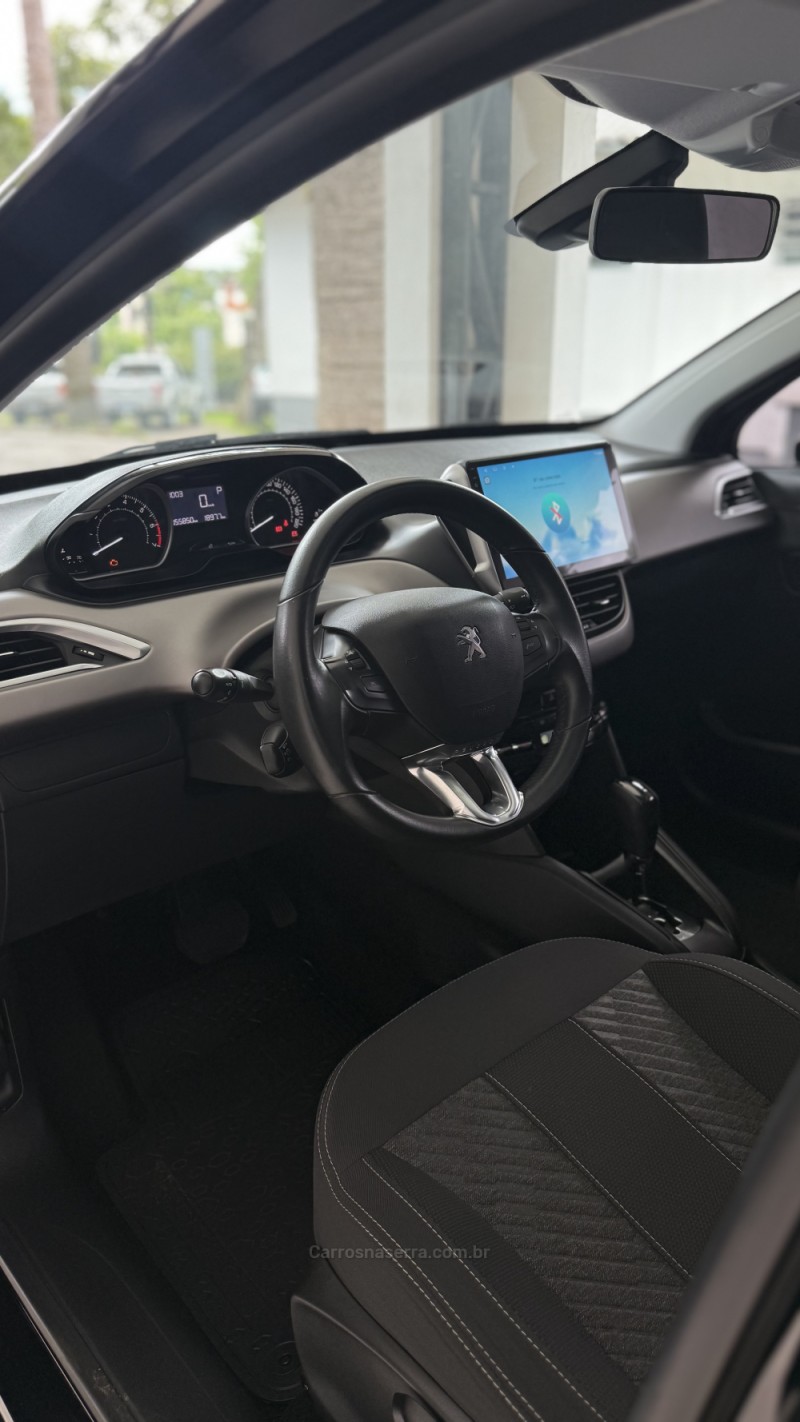 208  - 2019 - CANELA