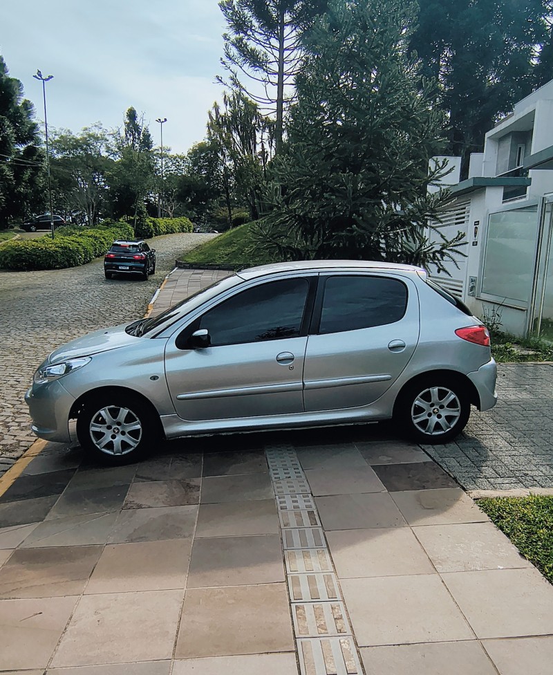 207 1.4 XR 8V FLEX 4P MANUAL - 2012 - FARROUPILHA
