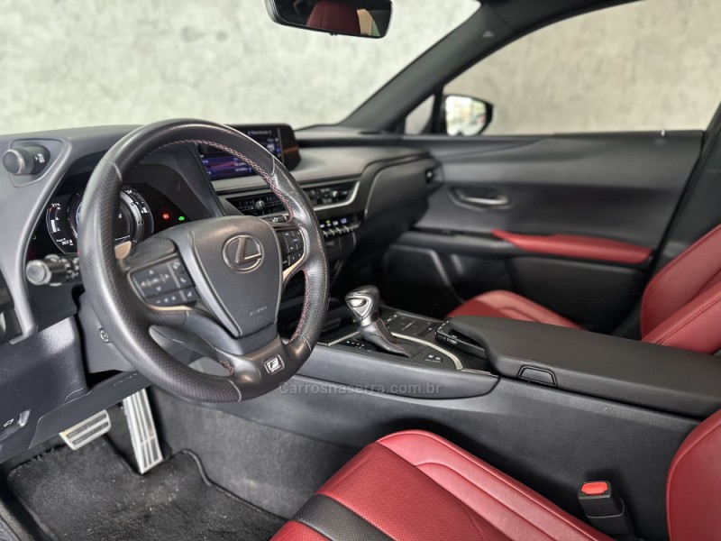 UX 250H 2.0 16V DYNAMIC HÍBRIDO 4P AUTOMÁTICO - 2019 - CAXIAS DO SUL