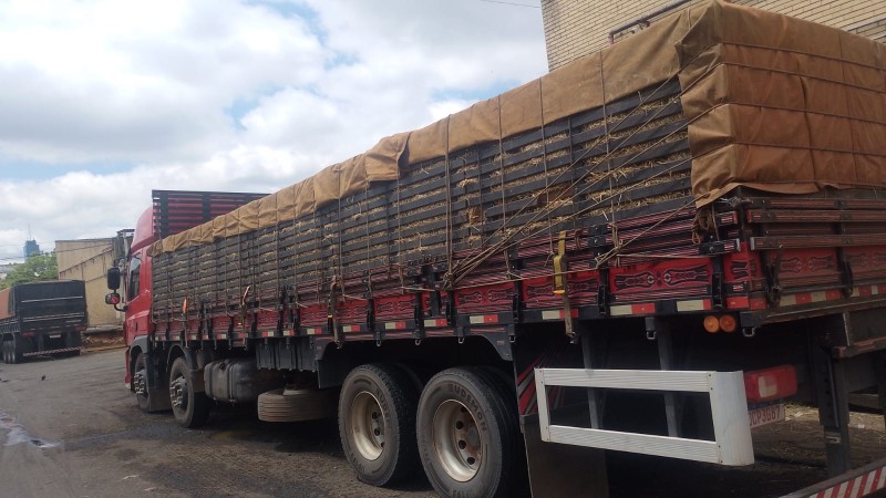 CF FAS  - 2024 - CAXIAS DO SUL