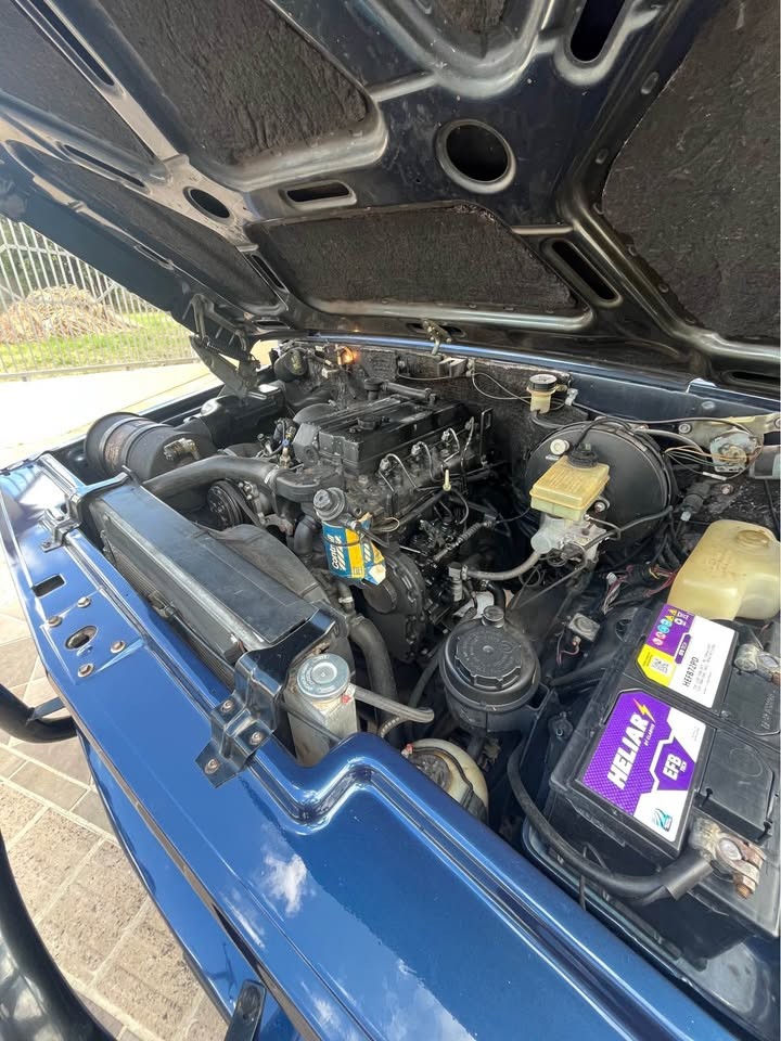 D20 4.0 CUSTOM DE LUXE CS 8V TURBO DIESEL 2P MANUAL - 1996 - NOVA PETRóPOLIS
