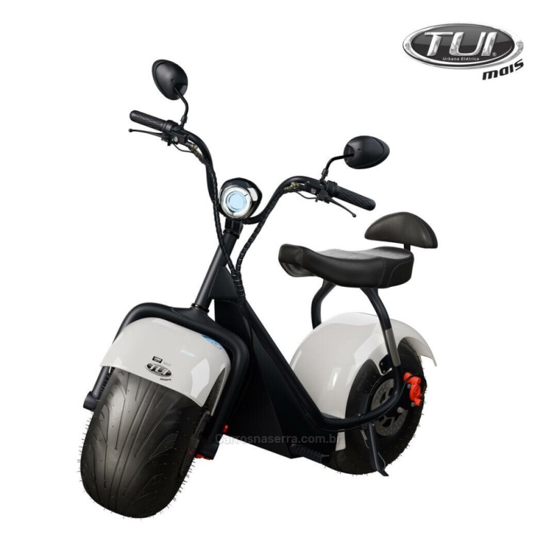 1000W  - 2026 - CARLOS BARBOSA