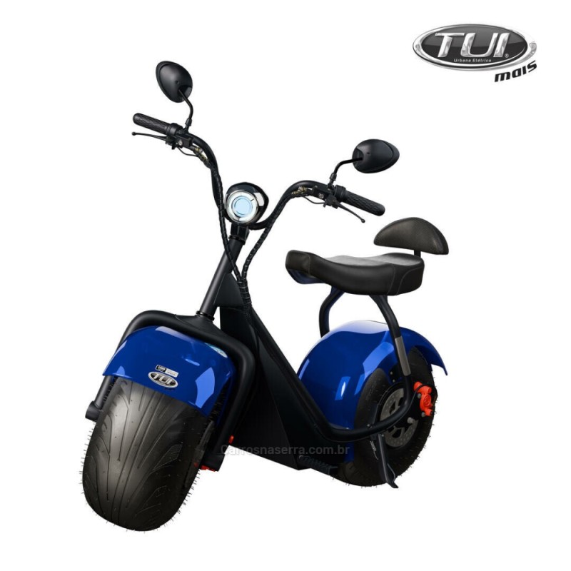 1000w  2026 carlos barbosa