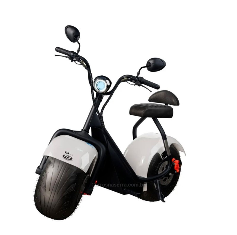 1000W  - 2026 - CARLOS BARBOSA