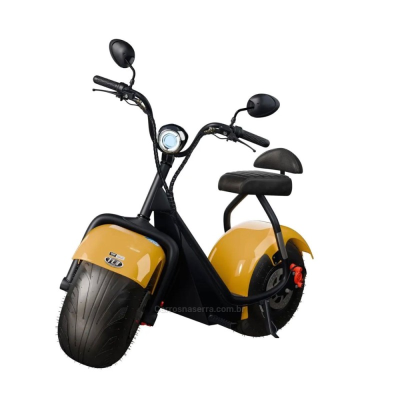 1000w  2026 carlos barbosa