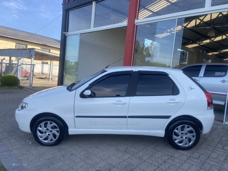 PALIO 1.0 MPI FIRE CELEBRATION ECONOMY 8V FLEX 4P MANUAL - 2009 - NOVA PRATA