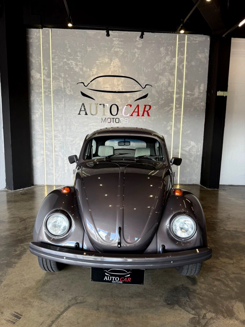 FUSCA 1.6 8V GASOLINA 2P MANUAL - 1995 - CAXIAS DO SUL