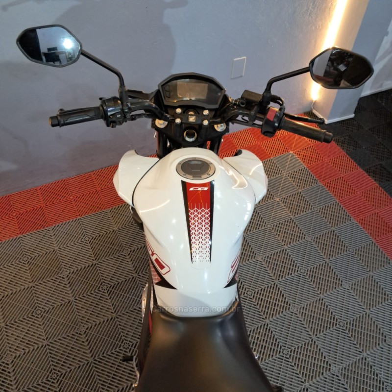 CB 250F TWISTER CBS - 2022 - PORTãO