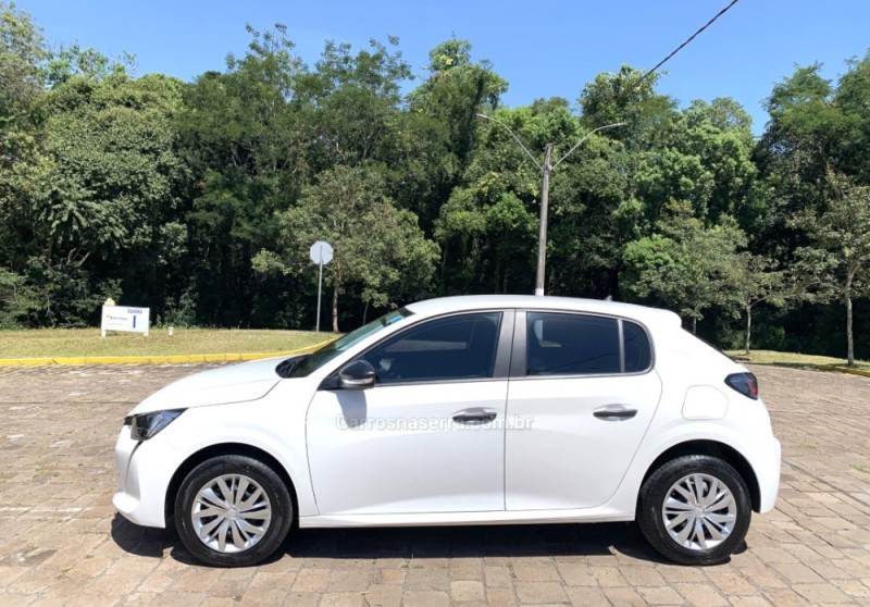 208 1.0 FIREFLY FLEX LIKE MANUAL - 2024 - GUAPORé