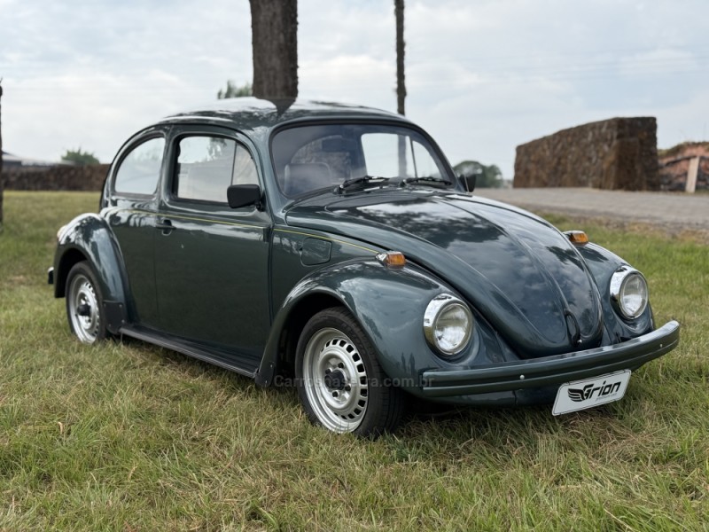 FUSCA 1.6 8V ÁLCOOL 2P MANUAL - 1994 - VACARIA