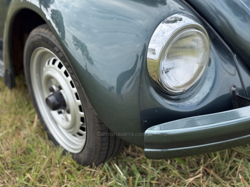 FUSCA 1.6 8V ÁLCOOL 2P MANUAL - 1994 - VACARIA