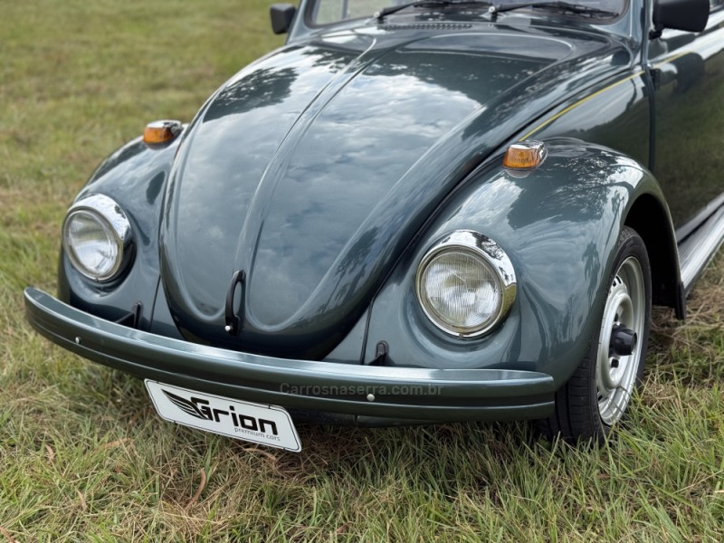 FUSCA 1.6 8V ÁLCOOL 2P MANUAL - 1994 - VACARIA