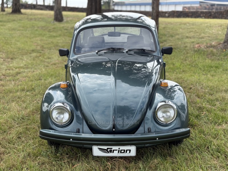 FUSCA 1.6 8V ÁLCOOL 2P MANUAL - 1994 - VACARIA