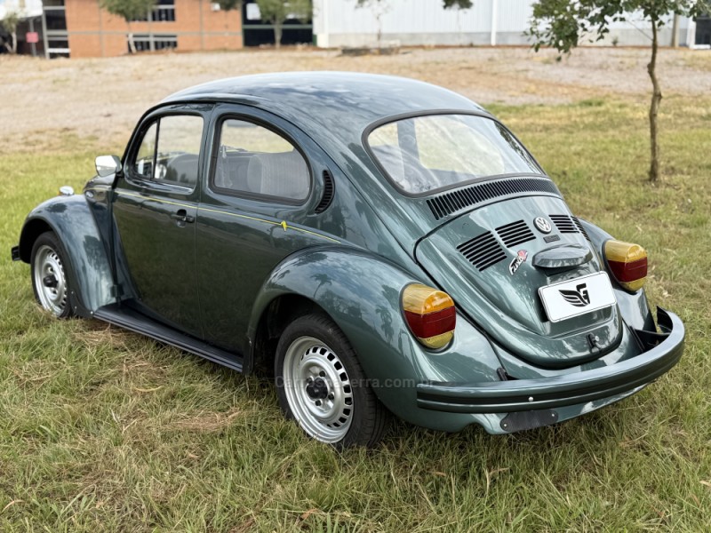 FUSCA 1.6 8V ÁLCOOL 2P MANUAL - 1994 - VACARIA
