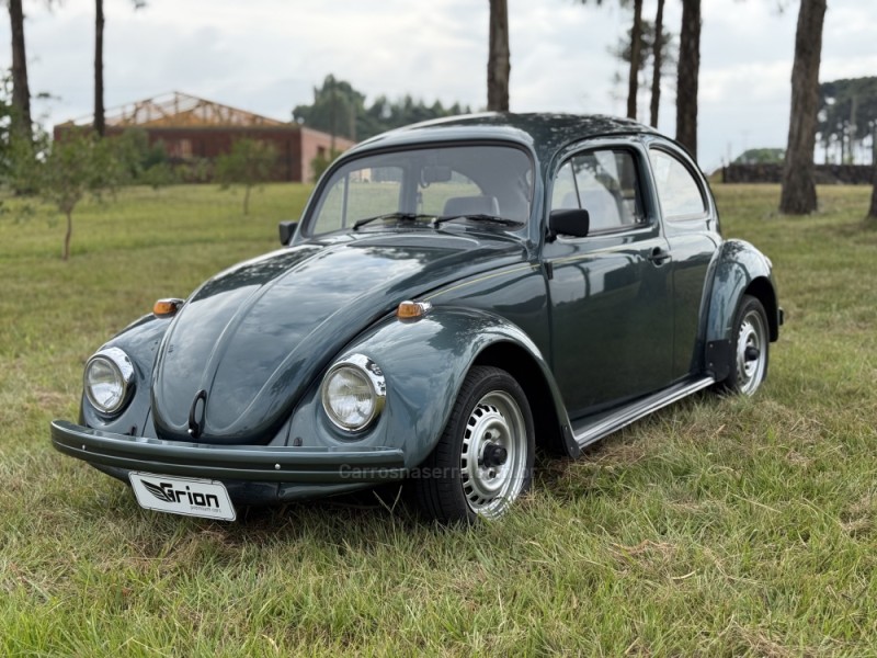 fusca 1.6 8v alcool 2p manual 1994 vacaria