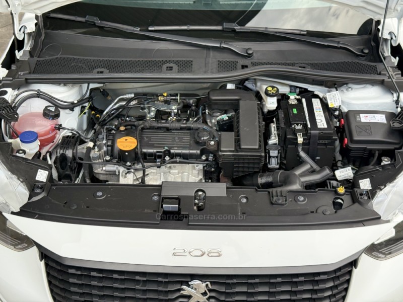 208 1.0 FIREFLY FLEX LIKE MANUAL - 2024 - CAXIAS DO SUL