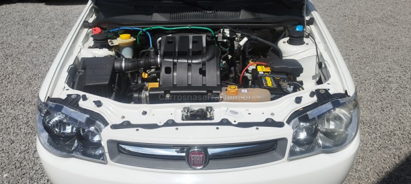 PALIO 1.0 MPI FIRE 8V GASOLINA 2P MANUAL - 2013 - FARROUPILHA