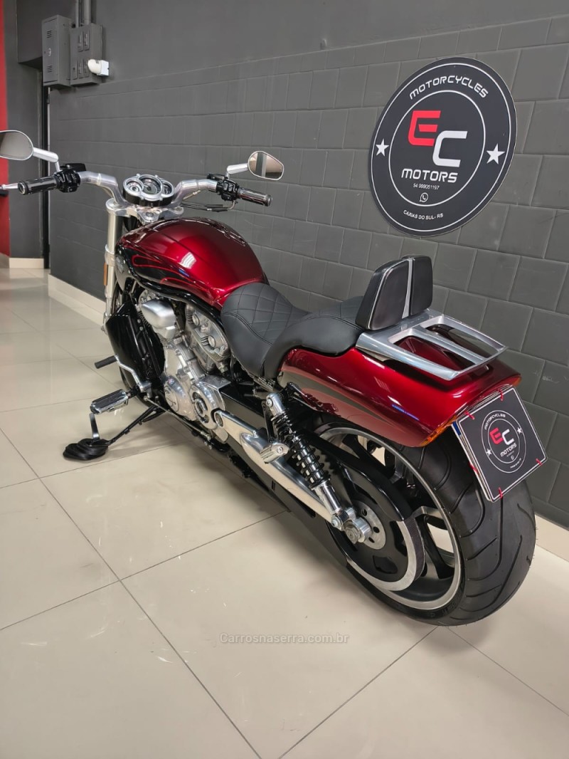 V-ROD  - 2015 - CAXIAS DO SUL