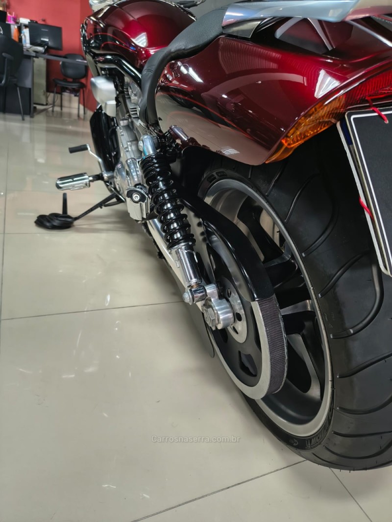 V-ROD  - 2015 - CAXIAS DO SUL