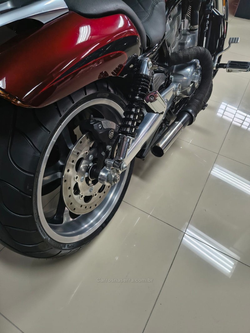 V-ROD  - 2015 - CAXIAS DO SUL