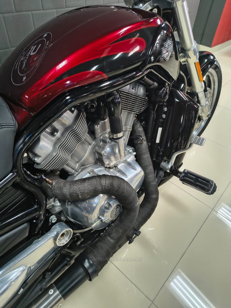 V-ROD  - 2015 - CAXIAS DO SUL