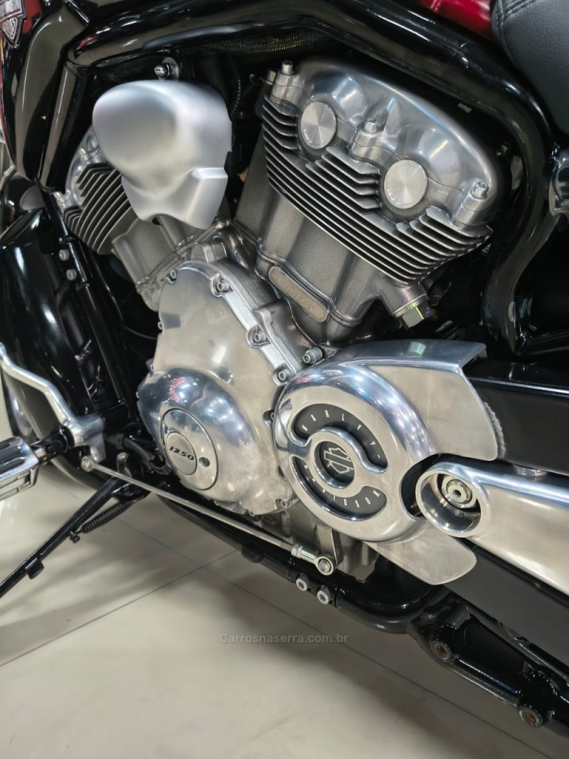 V-ROD  - 2015 - CAXIAS DO SUL