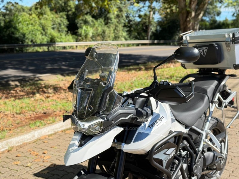 TIGER 900 GT  - 2016 - DOIS IRMãOS