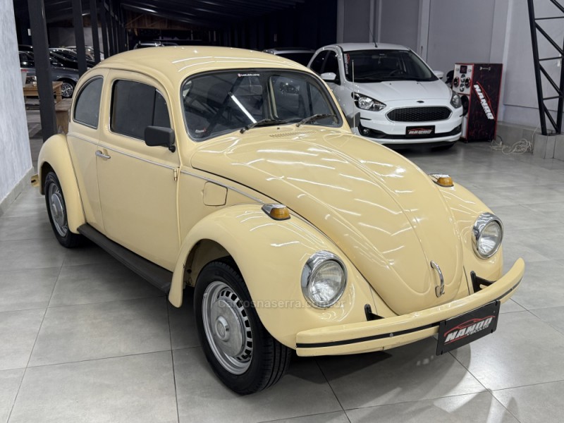 FUSCA 1.3 L 8V GASOLINA 2P MANUAL - 1980 - SAPIRANGA
