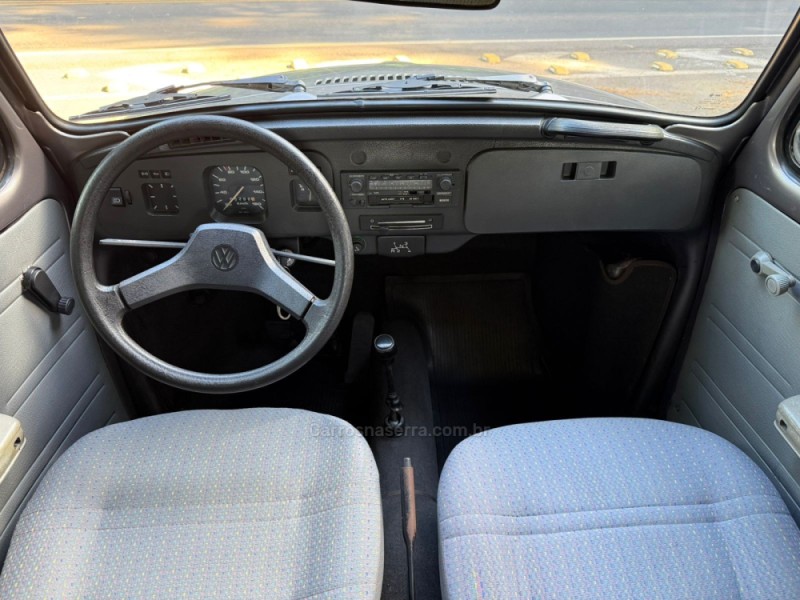 FUSCA 1.6 8V GASOLINA 2P MANUAL - 1996 - DOIS IRMãOS