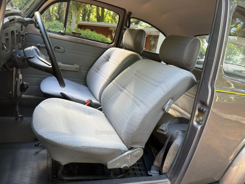 FUSCA 1.6 8V GASOLINA 2P MANUAL - 1996 - DOIS IRMãOS