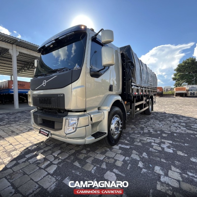 vm 220 4x2 2013 vacaria