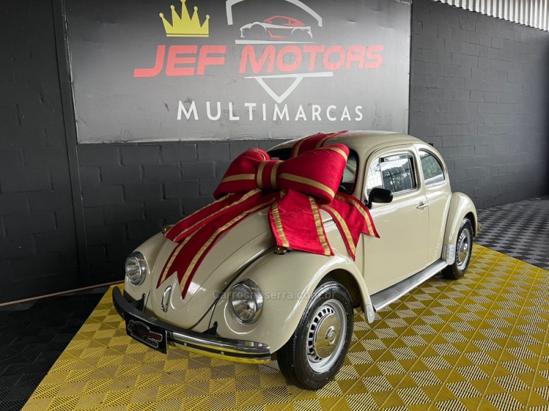 FUSCA 1.3 8V GASOLINA 2P MANUAL