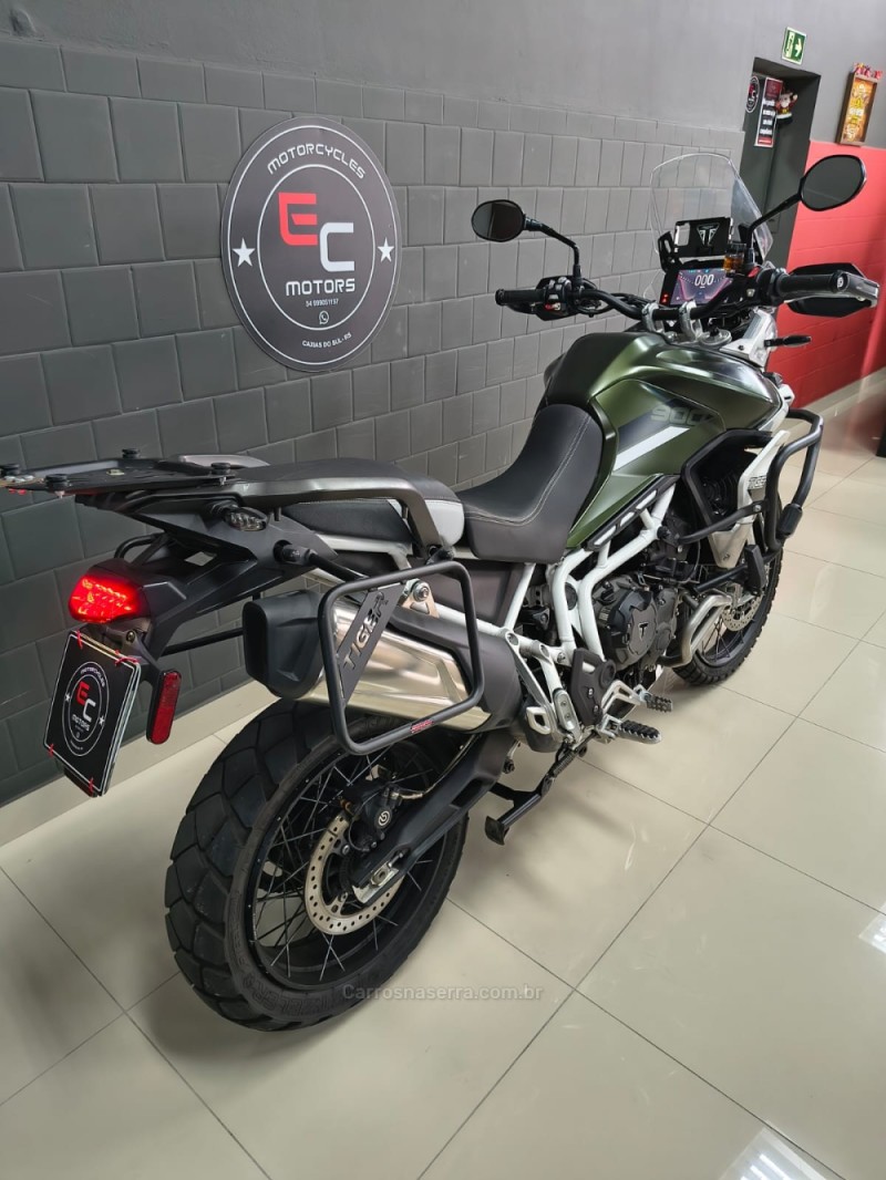 TIGER 900 RALLY PRO  - 2022 - CAXIAS DO SUL