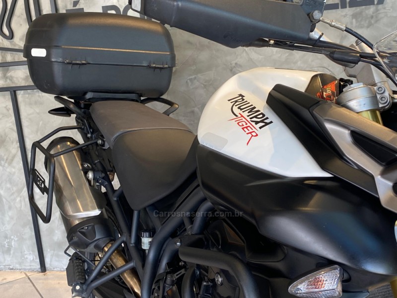 TIGER 800 ABS - 2014 - CAXIAS DO SUL