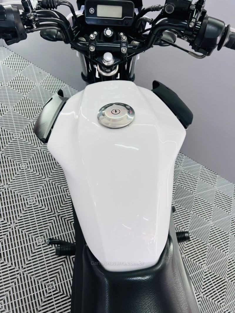 FACTOR 150 ED - 2020 - CAMPO BOM